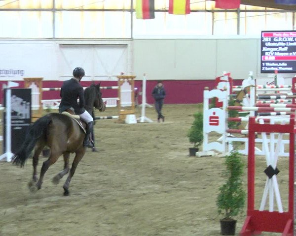 Reitturnier Trier - Hofgut Monaise 2017