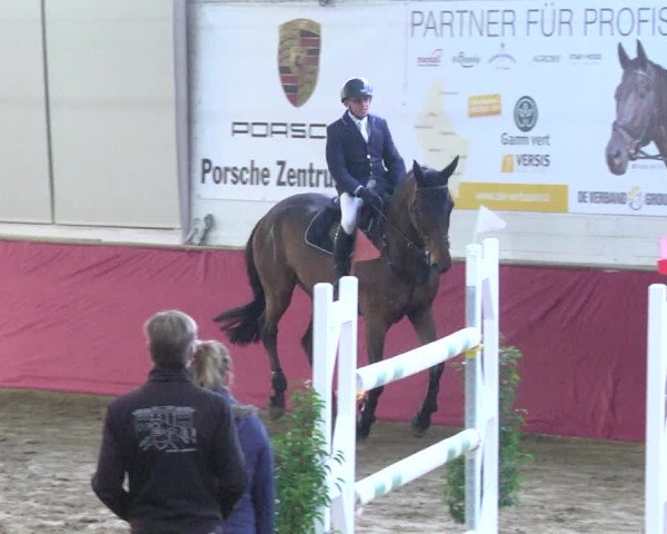 Reitturnier Trier - Hofgut Monaise 2017