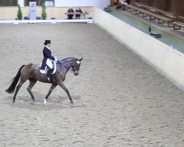 Reitturnier Hövelhof 2017