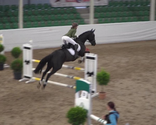 Reitturnier Zweibrücken 2017