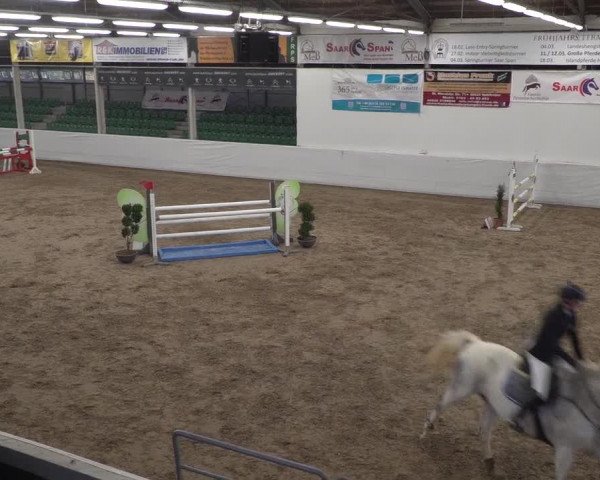 Reitturnier Zweibrücken 2017