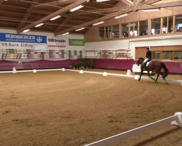 Reitturnier Eicherloh RH Laurent 2017