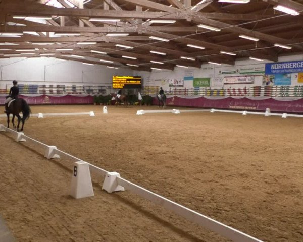 Reitturnier Eicherloh RH Laurent 2017