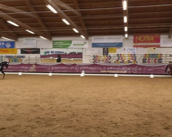 Reitturnier Eicherloh RH Laurent 2017