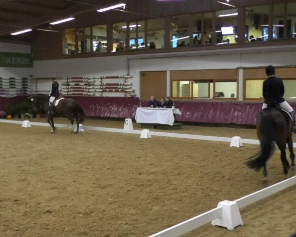 Reitturnier Eicherloh RH Laurent 2017