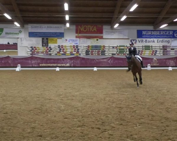 Reitturnier Eicherloh RH Laurent 2017
