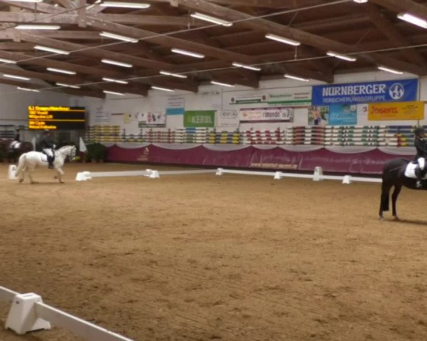 Reitturnier Eicherloh RH Laurent 2017