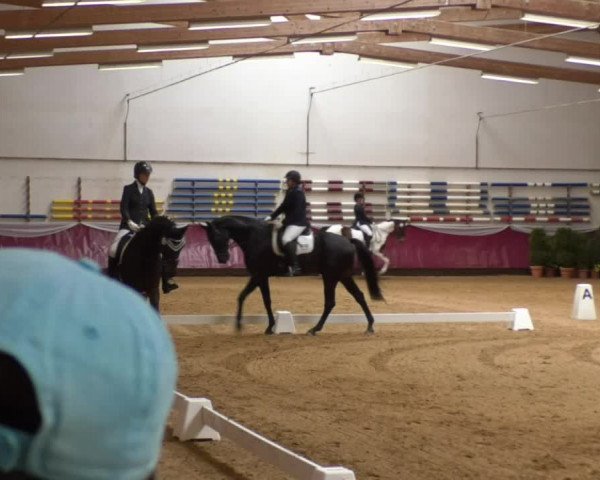 Reitturnier Eicherloh RH Laurent 2017