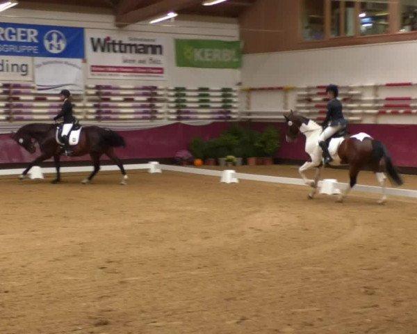 Reitturnier Eicherloh RH Laurent 2017