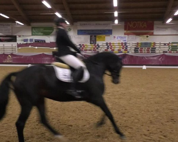 Reitturnier Eicherloh RH Laurent 2017