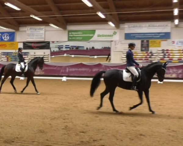 Reitturnier Eicherloh RH Laurent 2017