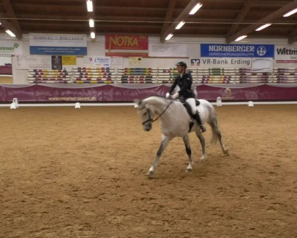 Reitturnier Eicherloh RH Laurent 2017