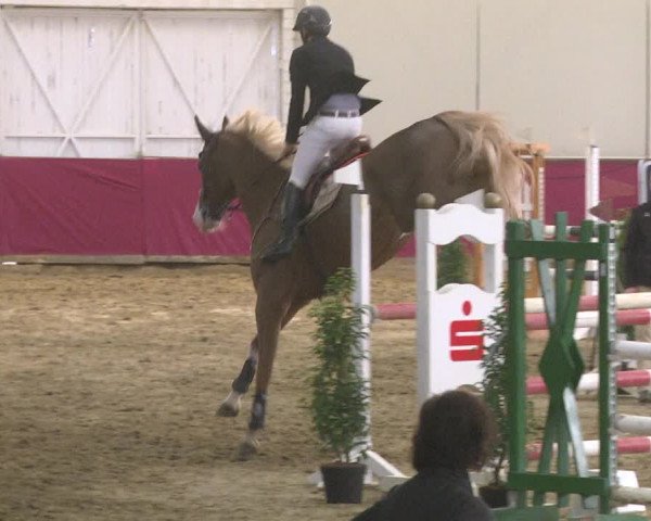 Reitturnier Trier - Hofgut Monaise 2017