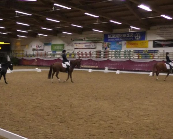 Reitturnier Eicherloh RH Laurent 2017
