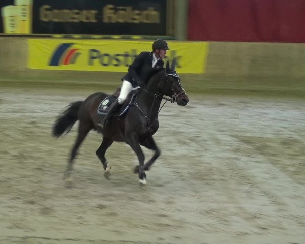 Reitturnier Köln-Leverkusen 2017
