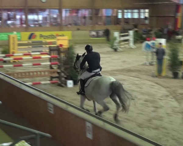Reitturnier Köln-Leverkusen 2017