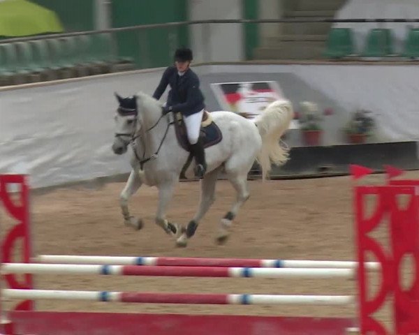 Reitturnier Kreuth 2017