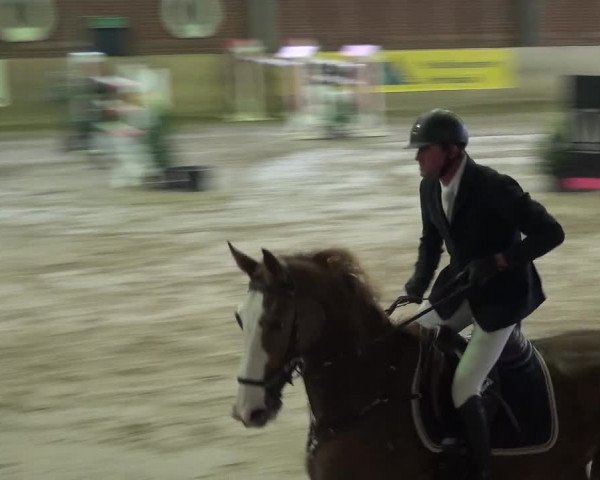 Reitturnier Köln-Leverkusen 2017