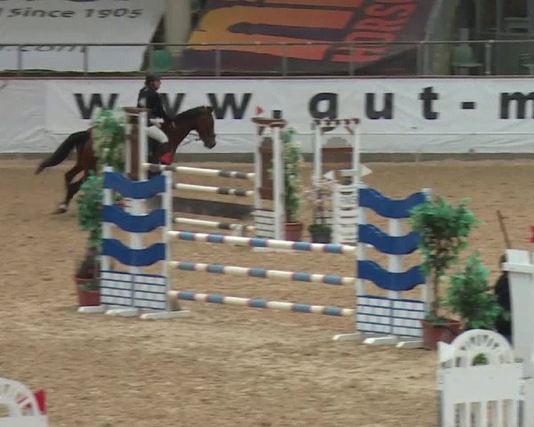 Reitturnier Kreuth 2017