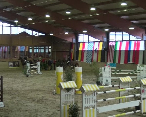 Reitturnier Köln-Leverkusen 2017