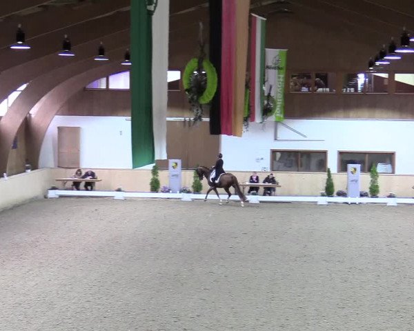 Reitturnier Hövelhof 2017