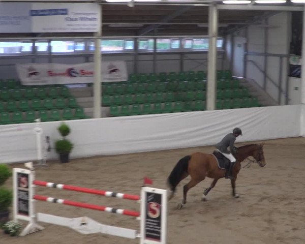 Reitturnier Zweibrücken 2017