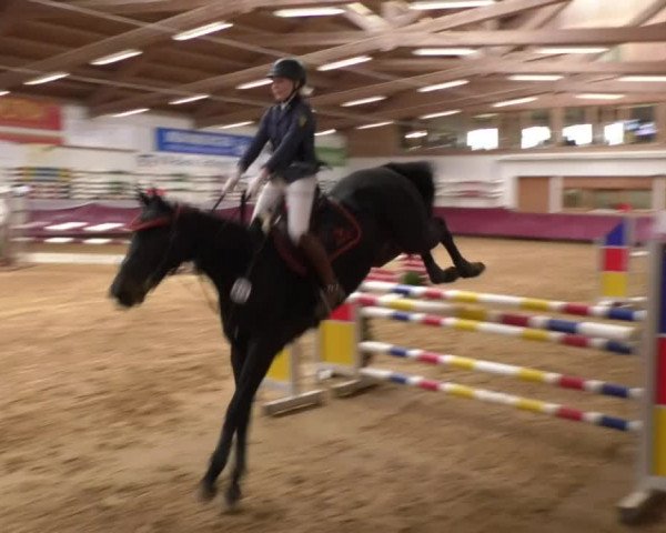 Reitturnier Eicherloh RH Laurent 2017