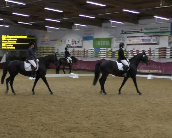 Reitturnier Eicherloh RH Laurent 2017