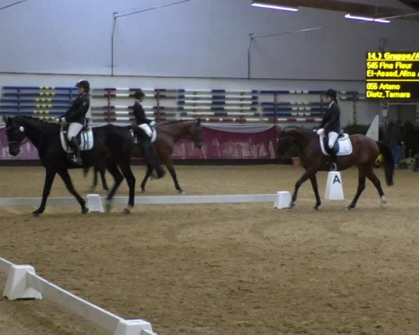 Reitturnier Eicherloh RH Laurent 2017