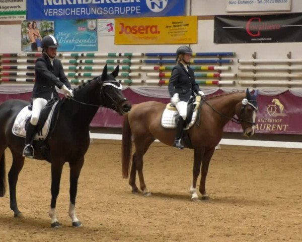 Reitturnier Eicherloh RH Laurent 2017