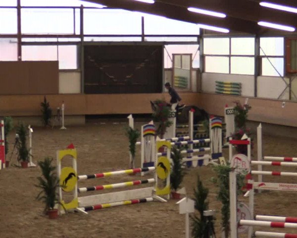 Reitturnier Alt Marl 2017