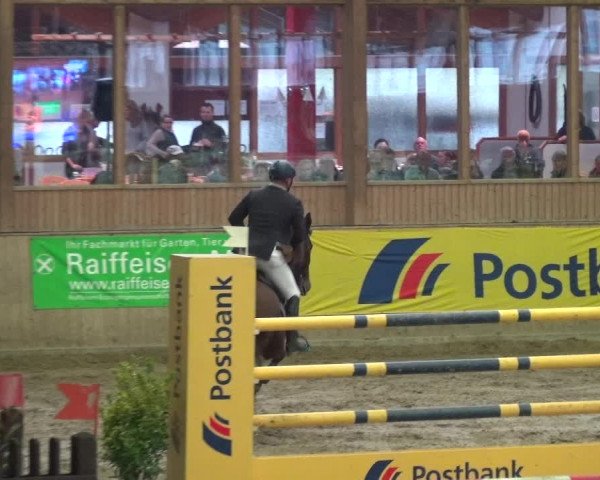 Reitturnier Köln-Leverkusen 2017