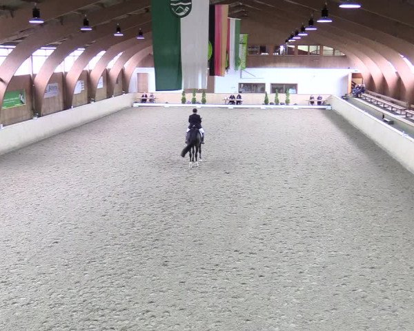 Reitturnier Hövelhof 2017