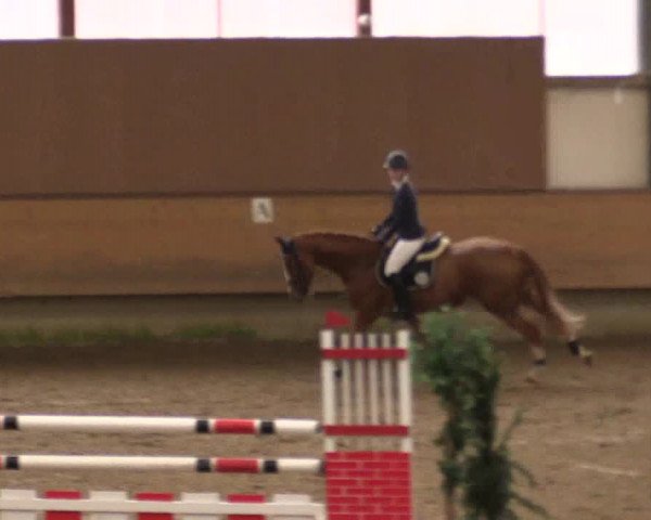 Reitturnier Alt Marl 2017