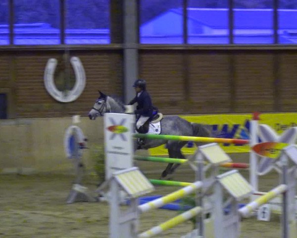 Reitturnier Köln-Leverkusen 2017