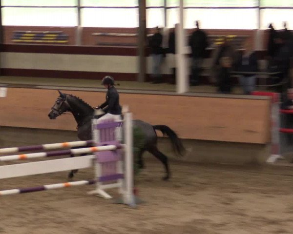 Reitturnier Alt Marl 2017