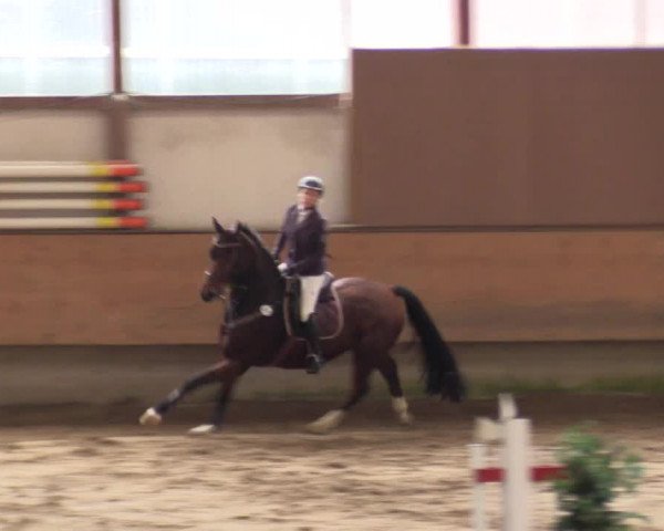 Reitturnier Alt Marl 2017
