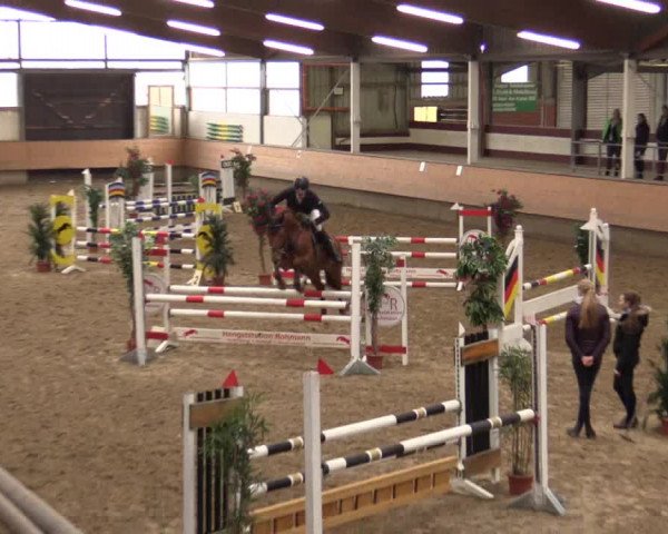 Reitturnier Alt Marl 2017