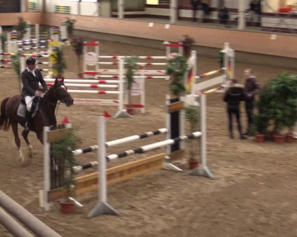 Reitturnier Alt Marl 2017