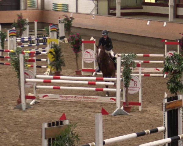 Reitturnier Alt Marl 2017