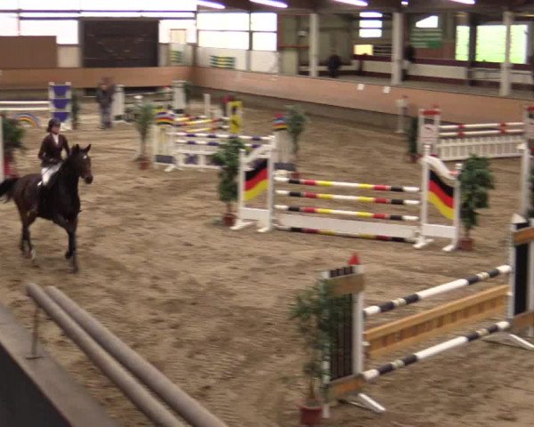 Reitturnier Alt Marl 2017