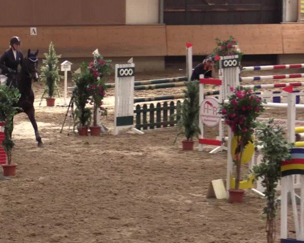 Reitturnier Alt Marl 2017