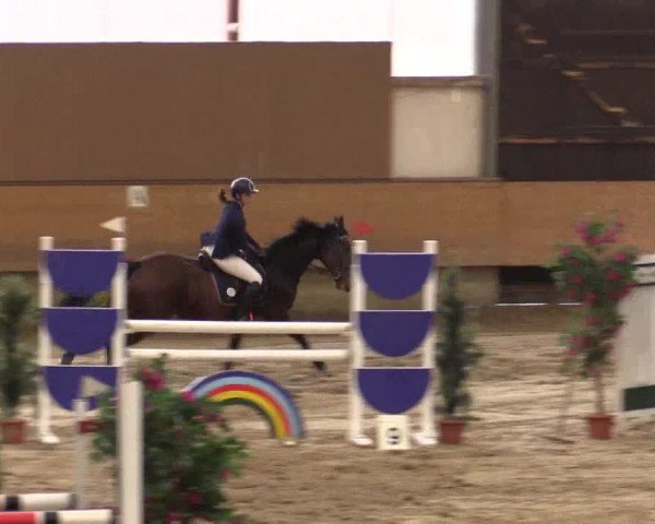 Reitturnier Alt Marl 2017