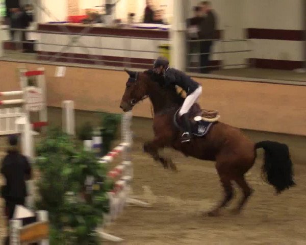 Reitturnier Alt Marl 2017
