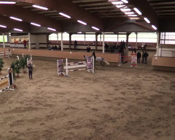Reitturnier Alt Marl 2017