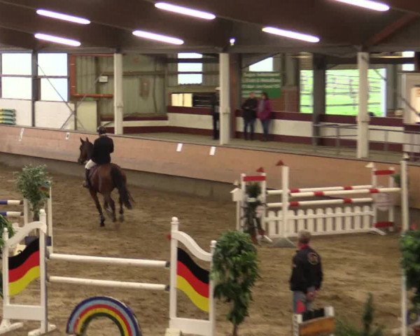 Reitturnier Alt Marl 2017