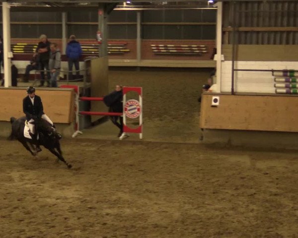 Reitturnier Alt Marl 2017