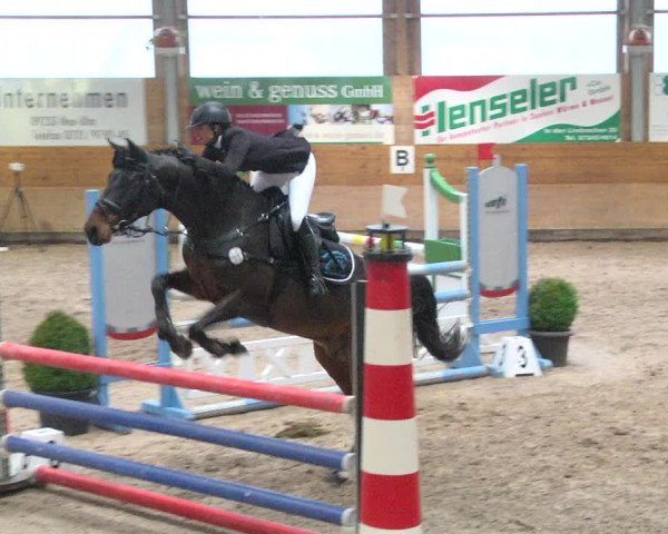 Reitturnier Langenau 2017 - Late Entry nur Springen