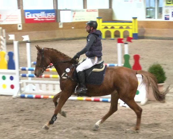 Reitturnier Langenau 2017 - Late Entry nur Springen