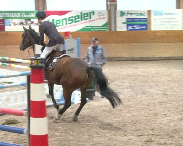 Reitturnier Langenau 2017 - Late Entry nur Springen